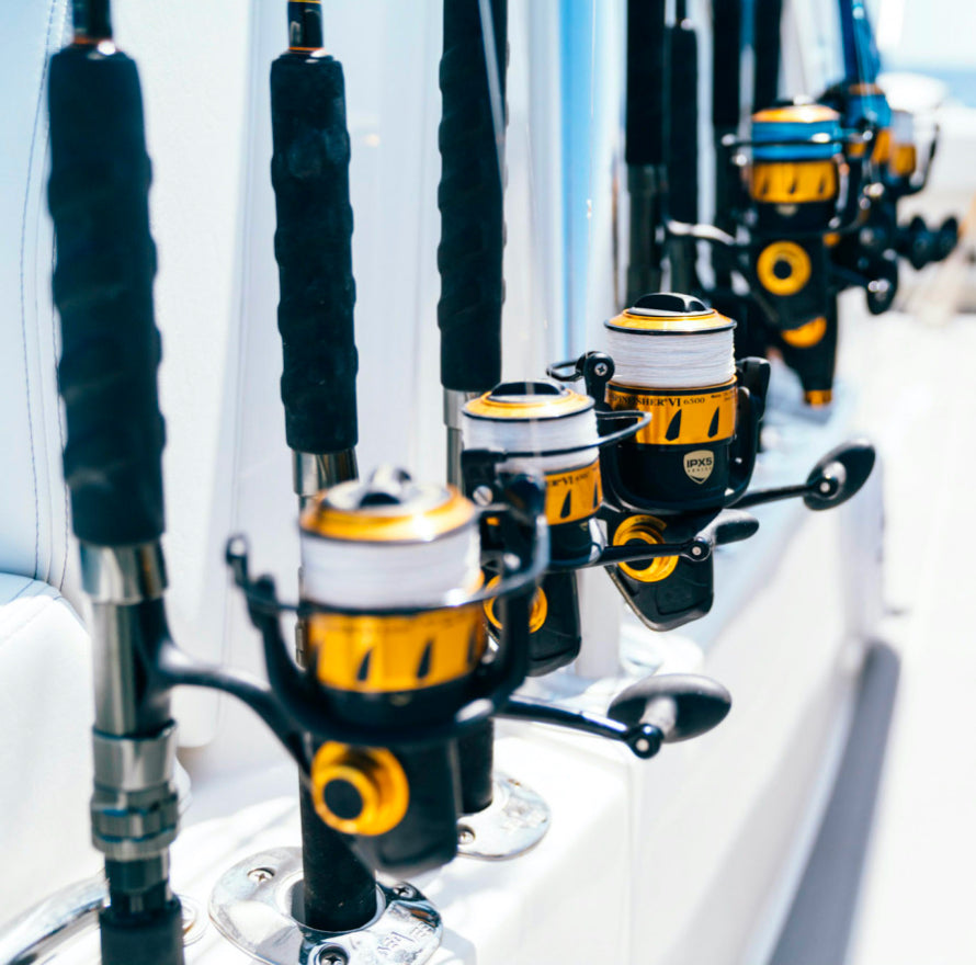 Multiple fishing rods lined up
